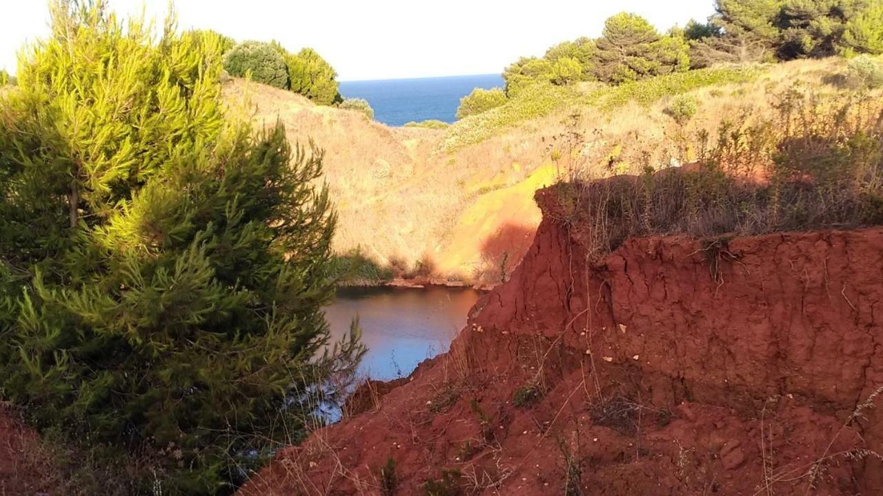 PalmariggiLa Terrazza Sul Castello公寓 外观 照片