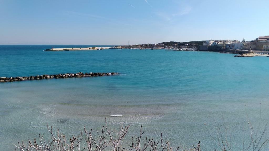 PalmariggiLa Terrazza Sul Castello公寓 外观 照片